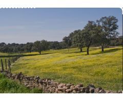 Terreno rural en Venta en Añover de Tormes, Salamanca
