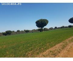 Terreno rural en Venta en Añover de Tormes, Salamanca
