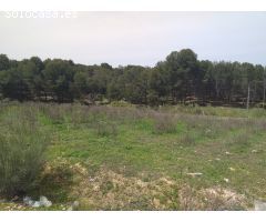 TERRENO INDUSTRIAL EN POLIGONO LACHAR