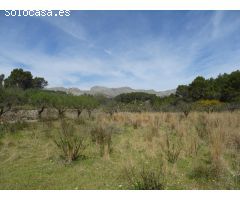 Parcela rustica en Murla