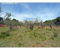 Parcela rustica en Murla