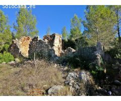 Ruina para reformar en Alcalali