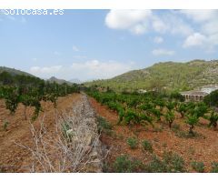 Terreno construible en Lliber