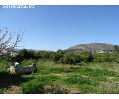 PARCELA RUSTICA CON POZO PRIVADO DE AGUA EN ALCALALI