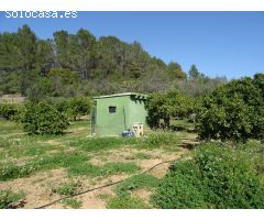 PARCELA RUSTICA CON POZO PRIVADO DE AGUA EN ALCALALI
