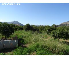 PARCELA RUSTICA CON POZO PRIVADO DE AGUA EN ALCALALI