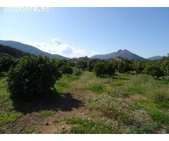 PARCELA RUSTICA CON POZO PRIVADO DE AGUA EN ALCALALI