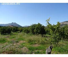 PARCELA RUSTICA CON POZO PRIVADO DE AGUA EN ALCALALI