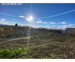 TERRENO CON NAVE DE 470 METROS