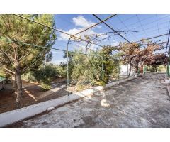 Moraleda de Zafayona -