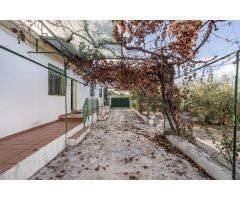 Moraleda de Zafayona -