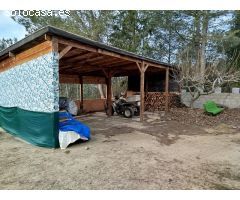 ES LLOGA PIS EN UNA CASA CHALET