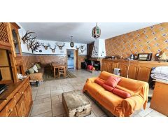 Encantadora finca rústica con olivar y urbana con vivienda en perfecto estado en Villaviciosa!