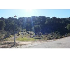 PARCELA URBANIZABLE EN LAS JARAS