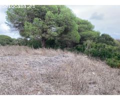 TIERRA DE MONTE BAJO EN LA MUELA
