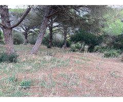TIERRA DE MONTE BAJO EN LA MUELA
