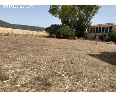 PARCELA RUSTICA CON VIVIENDA