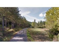Venta de 92 Hectáreas de terreno rústico en Leyún (Navarra)