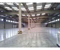 Alquiler de Nave Industrial de 4.000 metros en Polígono Ciudad del Transporte.