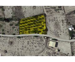 SE VENDE TERRENO RUSTICO EN CAMPOS DEL RIO, MURCIA