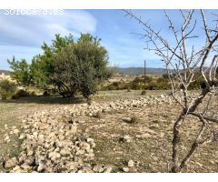 TERRENO EN ELS ARQUETS-SANT JAUME DEL DOMENYS