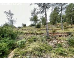 TERRENO EN EL PRIORAT DE LA BISBAL