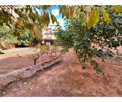 VENTA DE DOS PARCELAS EN EL VENDRELL!!!