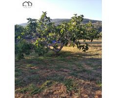 APIHOUSE VENDE TERRENO RUSTICO EN CANDELEDA. PRECIO DE VENTA 85.000€