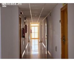 APIHOUSE VENDE ACOGEDOR APARTAMENTO EN GUARDAMAR DEL SEGURA.DESDE 70.999€