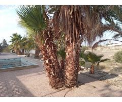 Casa de campo en Venta en BAÑOS Y MENDIGO, Murcia