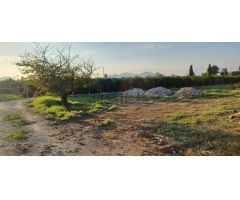 CASA DE CAMPO EN LUGAR DISEMINADOS BENEJÚZAR (03390)