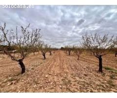 ????? Exclusiva Oportunidad en Suelo Urbano – Sector Nueva Condomina, Murcia ?????