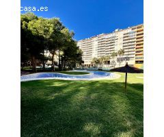 ????? Magnífico Piso de 3 Dormitorios en Dehesa de Campoamor, Alicante