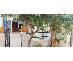 ¡Casa en planta baja en Mil Palmeras a pocos minutos de la playa!