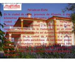 CHALET EN ALZABARES