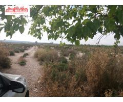 SE VENDE PARCELA RUSTICA PARA CULTIVO