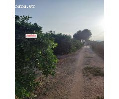 SE VENDE CASA CON TERRENO EN SAN BARTOLOME (ORIHUELA)