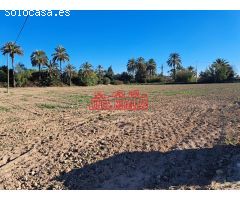 SE VENDE FINCA RURAL EN LA PARTIDA DE PUÇOL (A 5 KM DE ELCHE)