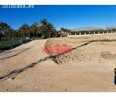 SE VENDE FINCA RURAL EN LA PARTIDA DE PUÇOL (A 5 KM DE ELCHE)