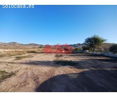 ¡¡ MAGNÍFICA PARCELA EN ASPE, 12.000 m2 !!