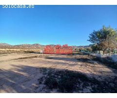 ¡¡ MAGNÍFICA PARCELA EN ASPE, 12.000 m2 !!