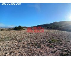¡¡ PRECIOSA PARCELA EN HONDÓN FRAILES !!