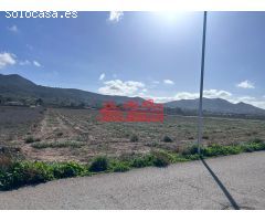 ¡¡ ESTUPENDA PARCELA 24.000m2 HONDÓN FRAILES!!