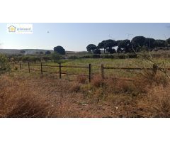 Finca rústica en Alcalá de Guadaira -Sevilla, con diferentes construcciones