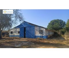 Finca rústica en Alcalá de Guadaira -Sevilla, con diferentes construcciones