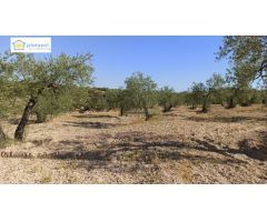 Finca rústica a la venta en Gerena zona camino piedra caballera