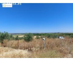 venta de finca rustica