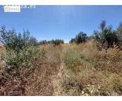 venta de finca rustica