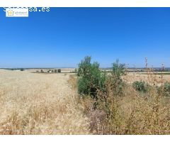 venta de finca rustica