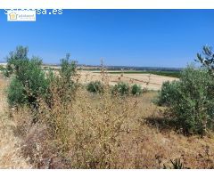 venta de finca rustica